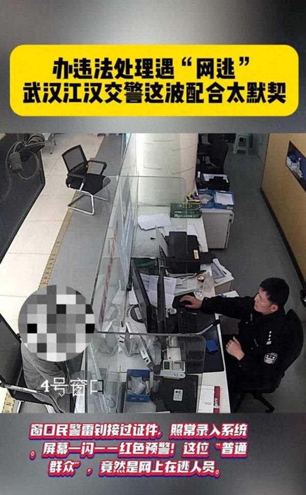 办违法处理遇“网逃”，武汉江汉交警这波配合太默契