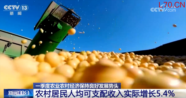 一季度农业农村经济向稳向好 良好势头支撑高质量发展
