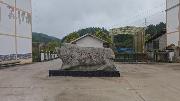 工行遵义务川支行办理普惠贷款接续业务 助力生猪产业稳产保供