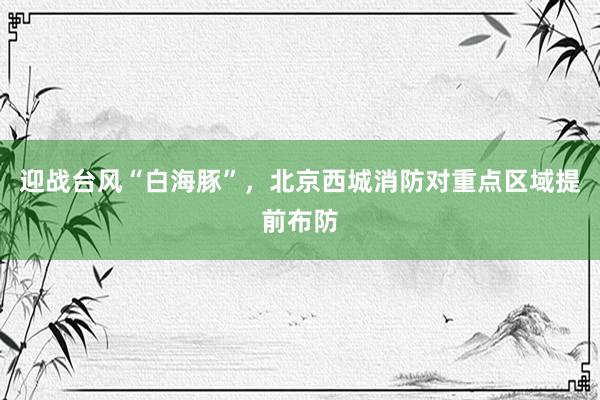 迎战台风“白海豚”，北京西城消防对重点区域提前布防