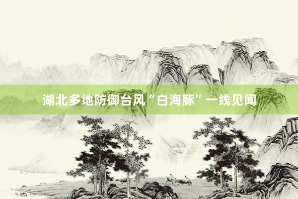湖北多地防御台风“白海豚”一线见闻