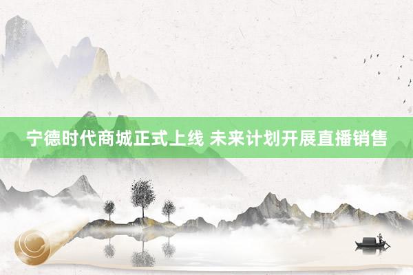 宁德时代商城正式上线 未来计划开展直播销售