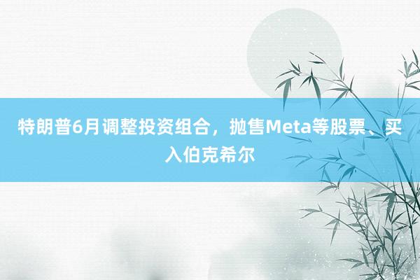 特朗普6月调整投资组合，抛售Meta等股票、买入伯克希尔