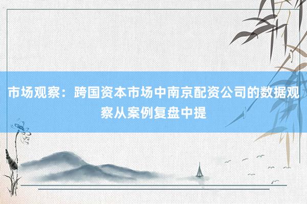 市场观察：跨国资本市场中南京配资公司的数据观察从案例复盘中提