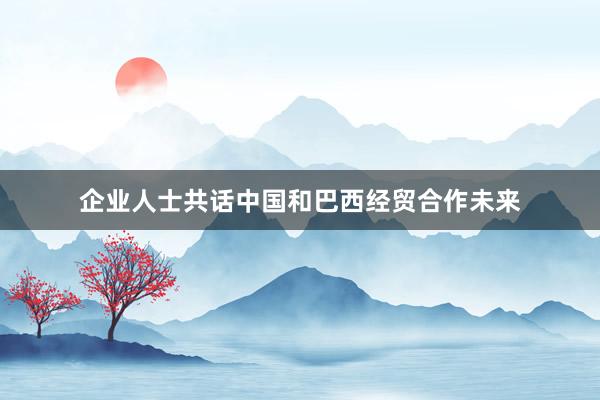 企业人士共话中国和巴西经贸合作未来