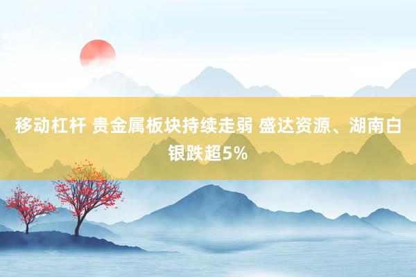 移动杠杆 贵金属板块持续走弱 盛达资源、湖南白银跌超5%