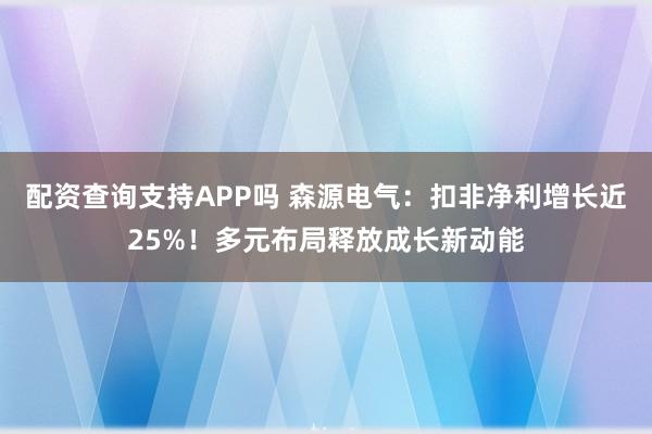 配资查询支持APP吗 森源电气：扣非净利增长近25%！多元布局释放成长新动能