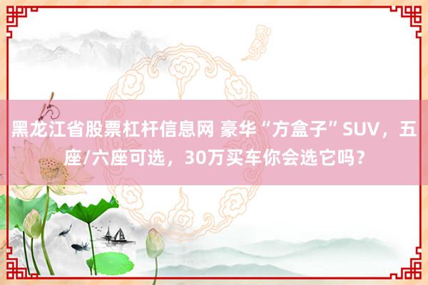 黑龙江省股票杠杆信息网 豪华“方盒子”SUV，五座/六座可选，30万买车你会选它吗？