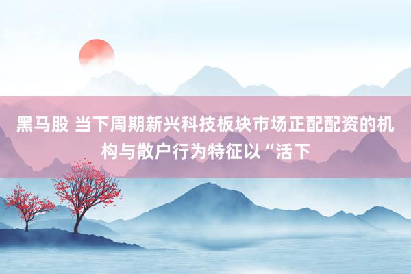 黑马股 当下周期新兴科技板块市场正配配资的机构与散户行为特征以“活下