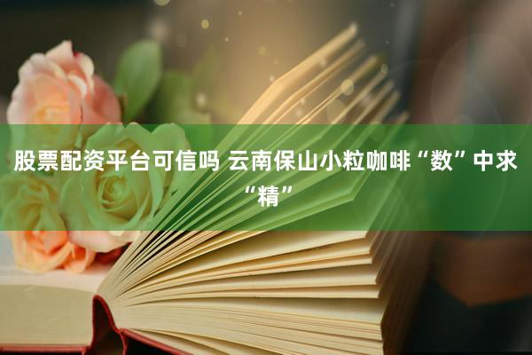 股票配资平台可信吗 云南保山小粒咖啡“数”中求“精”