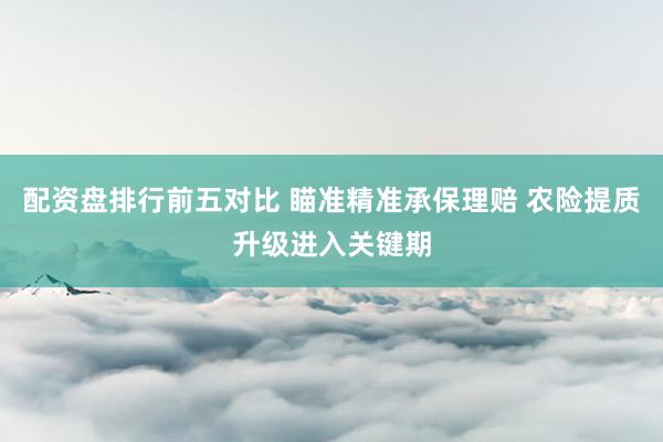 配资盘排行前五对比 瞄准精准承保理赔 农险提质升级进入关键期
